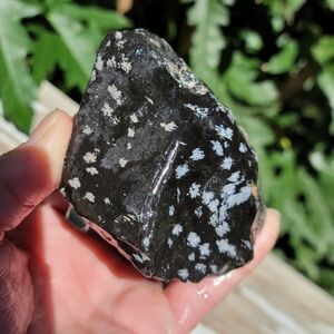 Snowflake Obsidian Raw Uncut Lapidary